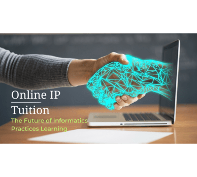 Modern Information practices Tuition